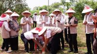 Menteri Nusron Nilai Pemasangan Patok Bisa Tandai Batas Tanah APL dengan Non-APL